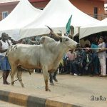 Egwu Imoka (108)