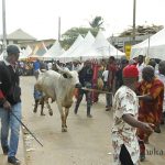 Egwu Imoka (116)