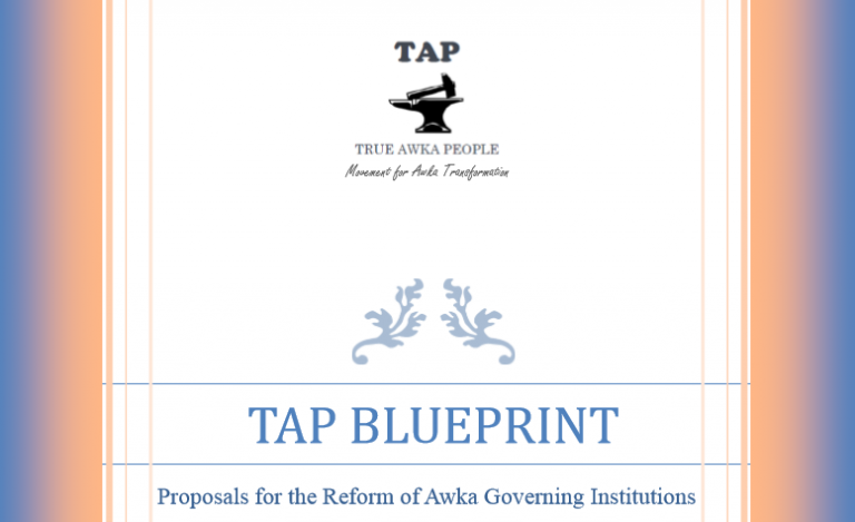 TAP Blueprint for Reform of Awka Institutions