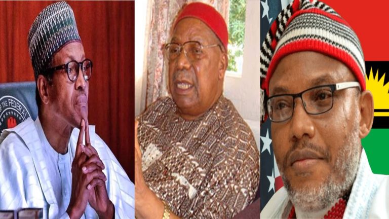 Igbo Elders’ Parley with President Buhari: Contrasting Perspectives