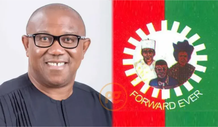 Black Swan and Tocqueville Effect: Peter Obi and the ‘Revolutionary Moment’ in Nigeria